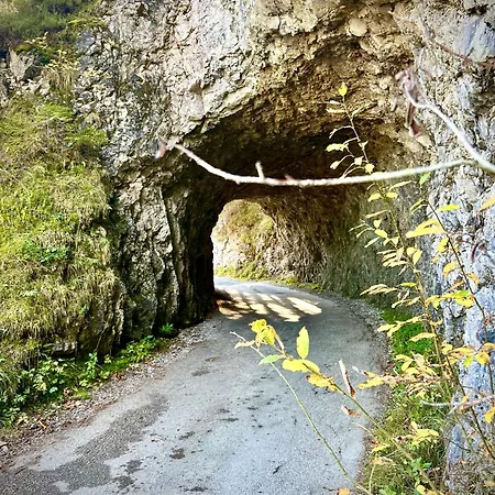 Hubertussee Dağ evi *