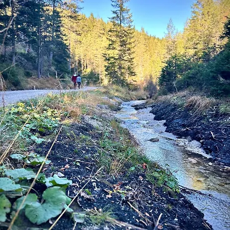 Dağ evi Hubertussee