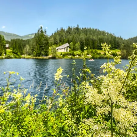 Hubertussee Dağ evi Mariazell