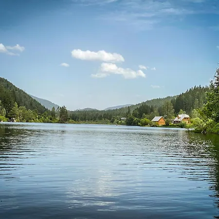 Hubertussee Dağ evi *