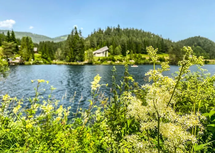 Hubertussee 木屋 玛利亚采尔